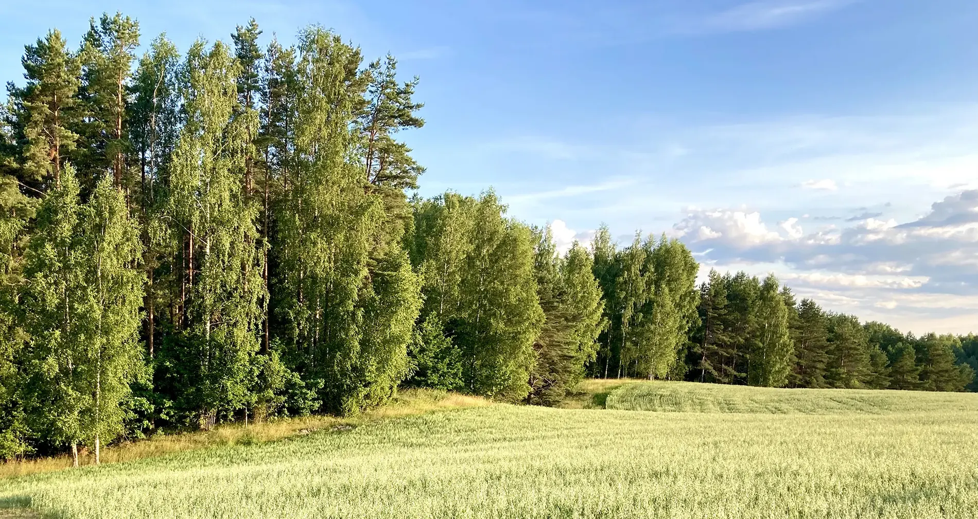 Maasoojuspumbad taust